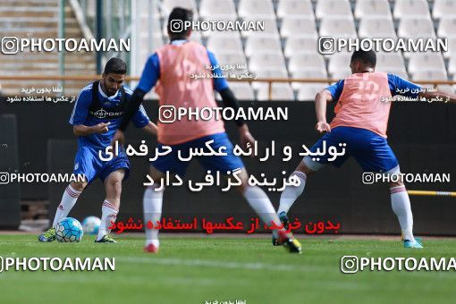 926549, Tehran, , Iran National Football Team Training Session on 2017/11/04 at Azadi Stadium