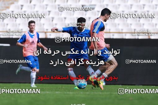 926804, Tehran, , Iran National Football Team Training Session on 2017/11/04 at Azadi Stadium