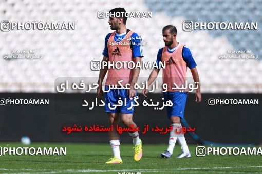 926618, Tehran, , Iran National Football Team Training Session on 2017/11/04 at Azadi Stadium