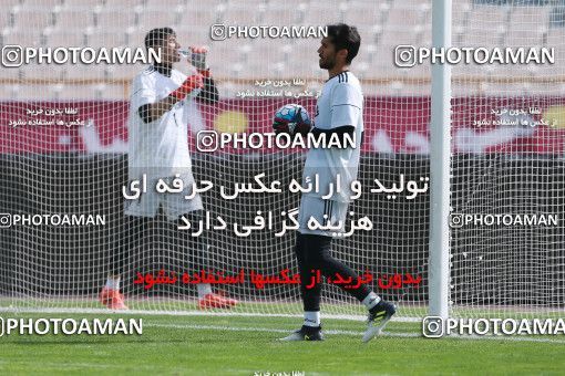 926677, Tehran, , Iran National Football Team Training Session on 2017/11/04 at Azadi Stadium