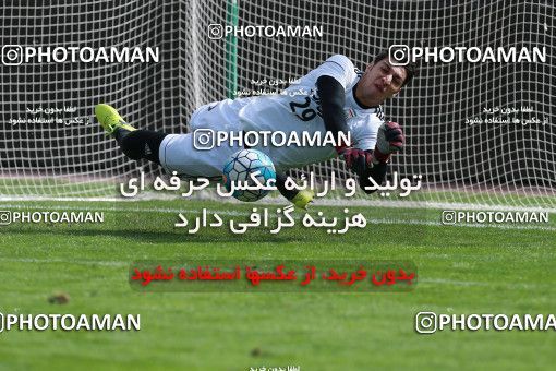 926720, Tehran, , Iran National Football Team Training Session on 2017/11/04 at Azadi Stadium