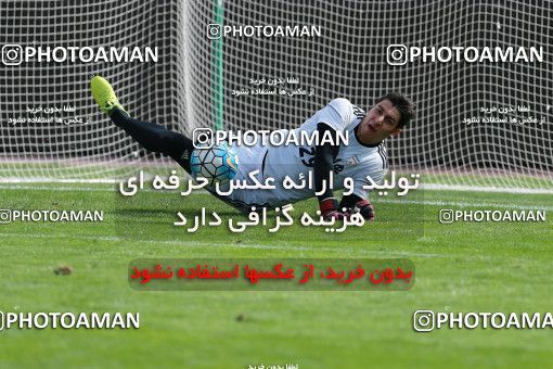 926628, Tehran, , Iran National Football Team Training Session on 2017/11/04 at Azadi Stadium