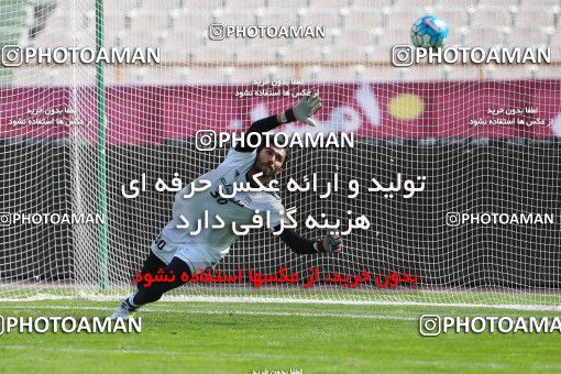 926684, Tehran, , Iran National Football Team Training Session on 2017/11/04 at Azadi Stadium