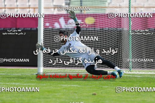 926749, Tehran, , Iran National Football Team Training Session on 2017/11/04 at Azadi Stadium