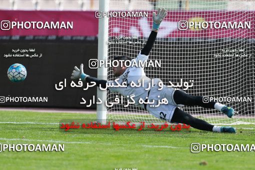 926743, Tehran, , Iran National Football Team Training Session on 2017/11/04 at Azadi Stadium