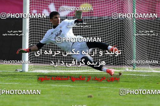 926665, Tehran, , Iran National Football Team Training Session on 2017/11/04 at Azadi Stadium