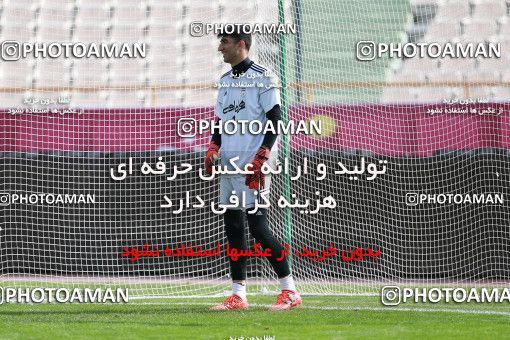 926732, Tehran, , Iran National Football Team Training Session on 2017/11/04 at Azadi Stadium