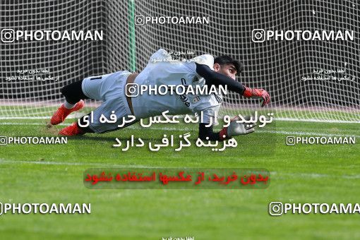 926625, Tehran, , Iran National Football Team Training Session on 2017/11/04 at Azadi Stadium