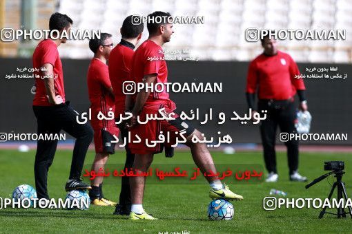 926499, Tehran, , Iran National Football Team Training Session on 2017/11/04 at Azadi Stadium