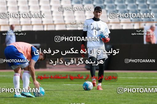 926785, Tehran, , Iran National Football Team Training Session on 2017/11/04 at Azadi Stadium