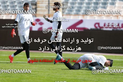 926771, Tehran, , Iran National Football Team Training Session on 2017/11/04 at Azadi Stadium