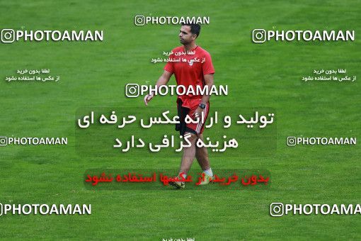 928802, Tehran, , Iran National Football Team Training Session on 2017/11/04 at Azadi Stadium