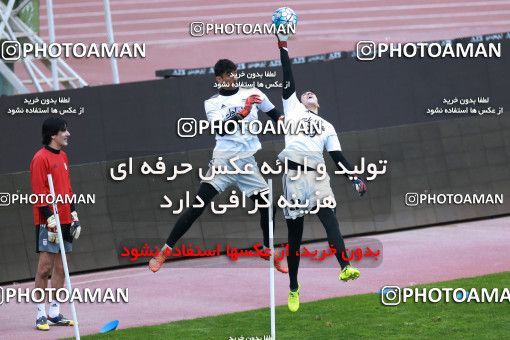 928685, Tehran, , Iran National Football Team Training Session on 2017/11/04 at Azadi Stadium