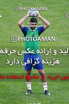 928861, Tehran, , Iran National Football Team Training Session on 2017/11/04 at Azadi Stadium