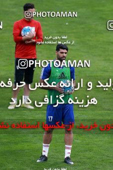 928887, Tehran, , Iran National Football Team Training Session on 2017/11/04 at Azadi Stadium