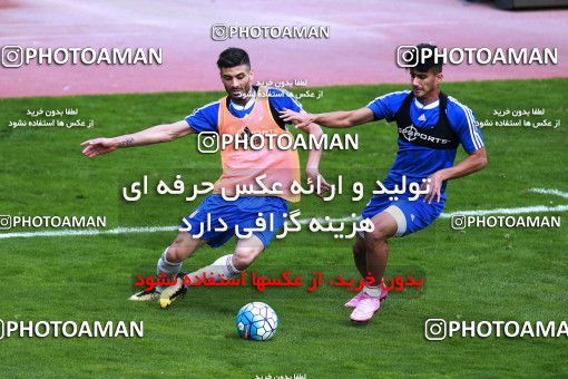 928718, Tehran, , Iran National Football Team Training Session on 2017/11/04 at Azadi Stadium