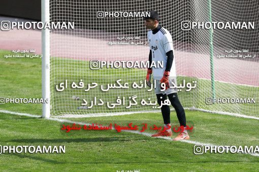 929010, Tehran, , Iran National Football Team Training Session on 2017/11/04 at Azadi Stadium