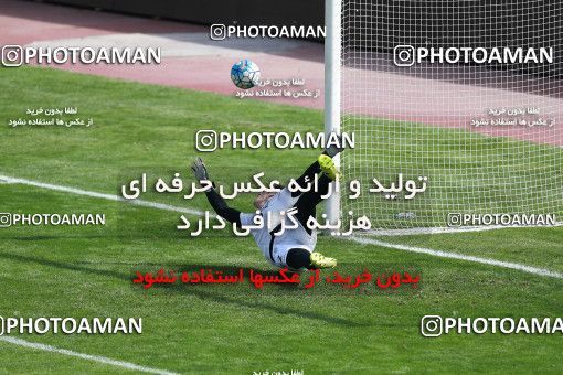 929133, Tehran, , Iran National Football Team Training Session on 2017/11/04 at Azadi Stadium