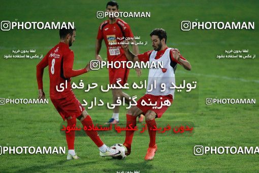 929254, Tehran, , Persepolis Football Team Training Session on 2017/11/10 at Shahid Kazemi Stadium