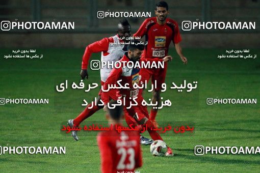 929216, Tehran, , Persepolis Football Team Training Session on 2017/11/10 at Shahid Kazemi Stadium