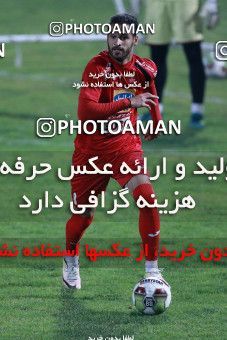 929199, Tehran, , Persepolis Football Team Training Session on 2017/11/10 at Shahid Kazemi Stadium