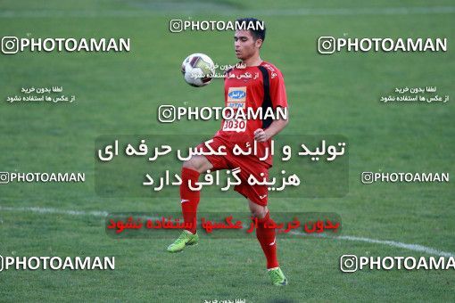 929352, Tehran, , Persepolis Football Team Training Session on 2017/11/10 at Shahid Kazemi Stadium