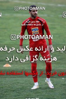 929289, Tehran, , Persepolis Football Team Training Session on 2017/11/10 at Shahid Kazemi Stadium