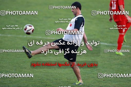 929367, Tehran, , Persepolis Football Team Training Session on 2017/11/10 at Shahid Kazemi Stadium