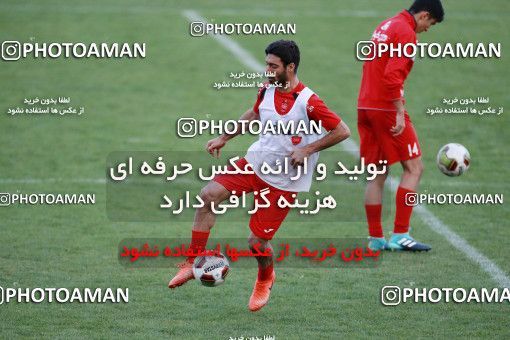 929226, Tehran, , Persepolis Football Team Training Session on 2017/11/10 at Shahid Kazemi Stadium