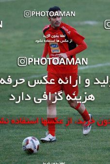 929253, Tehran, , Persepolis Football Team Training Session on 2017/11/10 at Shahid Kazemi Stadium