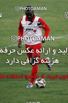 929183, Tehran, , Persepolis Football Team Training Session on 2017/11/10 at Shahid Kazemi Stadium