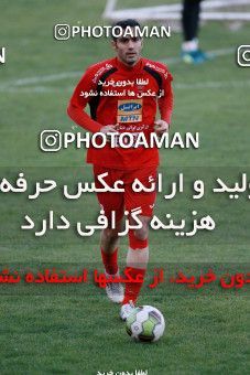 929327, Tehran, , Persepolis Football Team Training Session on 2017/11/10 at Shahid Kazemi Stadium