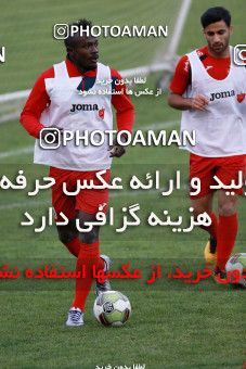 929304, Tehran, , Persepolis Football Team Training Session on 2017/11/10 at Shahid Kazemi Stadium