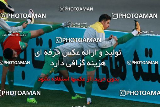 935424, Tehran,Shahr Qods, [*parameter:4*], لیگ برتر فوتبال ایران، Persian Gulf Cup، Week 12، First Leg، Paykan 1 v 1 Sanat Naft Abadan on 2017/11/15 at Shahr-e Qods Stadium