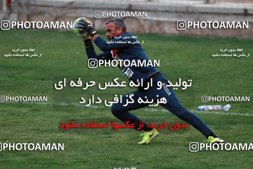 937505, Tehran, , Persepolis Football Team Training Session on 2017/11/11 at Shahid Kazemi Stadium