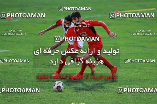 937489, Tehran, , Persepolis Football Team Training Session on 2017/11/11 at Shahid Kazemi Stadium