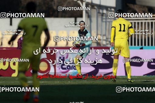 1013968, Tehran, [*parameter:4*], Iran Pro League، Persian Gulf Cup، 2017-18 season، Second Leg، Week 20، Naft Tehran 4 v ۱ Siah Jamegan on 2018/01/19 at Takhti Stadium