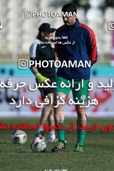 1015613, Tehran, [*parameter:4*], Iran Pro League، Persian Gulf Cup، 2017-18 season، Second Leg، Week 21، Saipa ۱ v ۰ Padideh Mashhad on 2018/01/25 at Shahid Dastgerdi Stadium