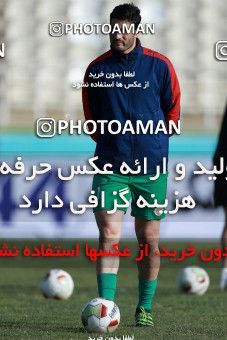 1015795, Tehran, [*parameter:4*], Iran Pro League، Persian Gulf Cup، 2017-18 season، Second Leg، Week 21، Saipa ۱ v ۰ Padideh Mashhad on 2018/01/25 at Shahid Dastgerdi Stadium