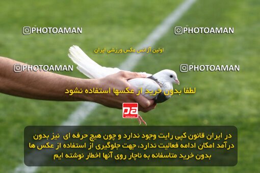 2195236, Tehran, Iran, Iran Pro League، Persian Gulf Cup، 2009-10 season، Second Leg، Week 24، Steel Azin ۰ v 2 Esteghlal on 2010/01/23 at Azadi Stadium