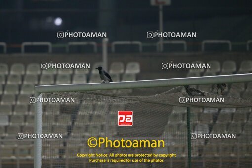 2141635, Tehran, Iran, مسابقات فوتبال مقدماتی جام جهانی ۲۰۲6 آمریکای شمالی, Iran National Football Team Training Session on 2023/11/14 at Shahid Dastgerdi Stadium